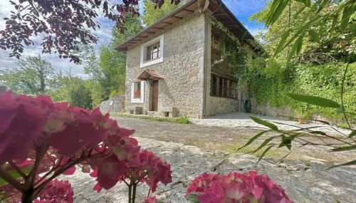 CANGAS DE ONIS RURAL HOUSE WITH VIEWs - Foto 4