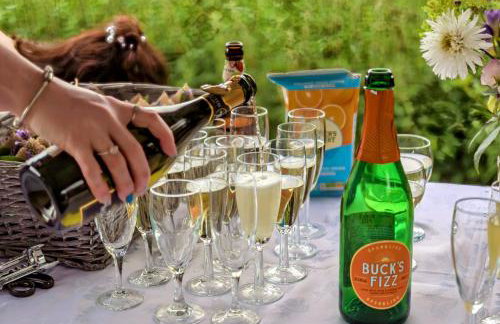 The Warm Hearth 18th Century, 15 acre Countryside Estate - Foto 10