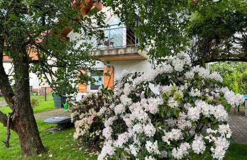 Ferienhaus Das Häuschen - Photo 12