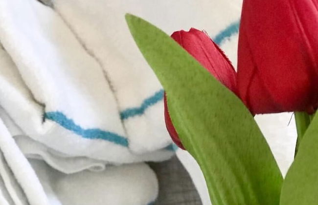 Esterin Royal Park Apartments Eilat - Photo 26