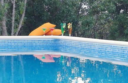 Casa Monte da Eira - Foto 16