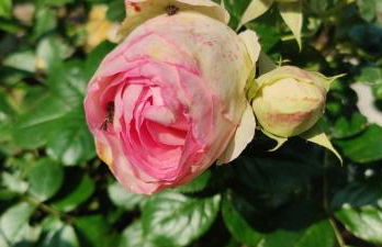 Joka B&B e Home Food - Foto 27