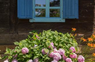 Pension Kezele - Foto 6