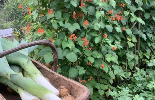 The Oak Lodge, Clematis Cottages, Stamford - Foto 30