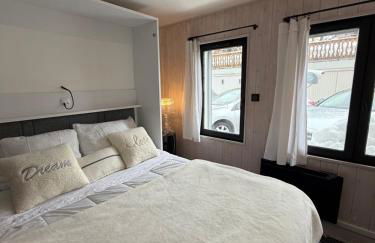 Idéal Cosy Lumineux Central calme Fonctionnel & Beau - Foto 6