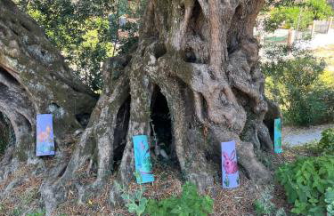 Green Hill House - Foto 46