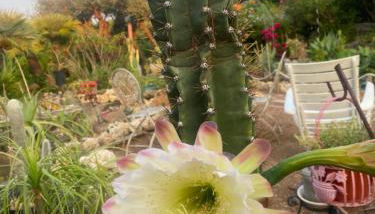 Rifugio Storico sul Mare - Foto 5