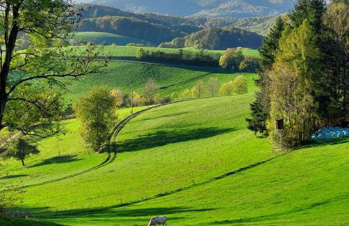 Gorxheimertal 92qm Allergikerfreundlich 2 Schlafzimmer 2 WC Terrasse - Foto 41