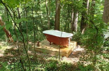 Charming Vacation Rental in a Barn on a Horse Farm near Afton Mountain in Virginia - Foto 7