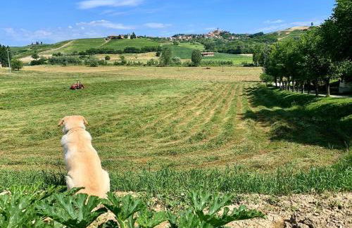 Agriturismo La Mussia - Foto 69