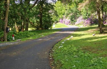 Forest Valley Holiday Home - Foto 32