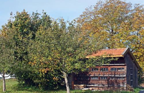 Beim Bicher - Photo 70