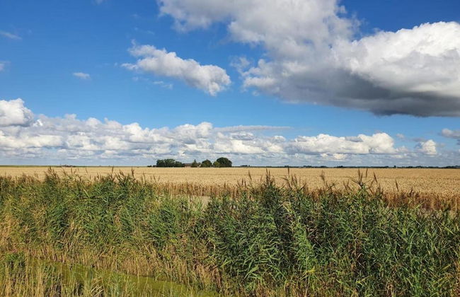 Bungalow by Water Near Rotterdam - Foto 34