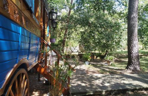 Les roulottes Vesta - Foto 45