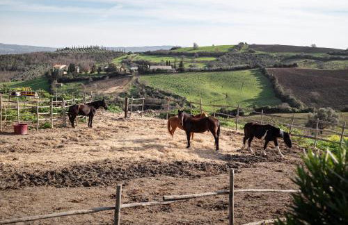 Locanda Fontelupa - Foto 88