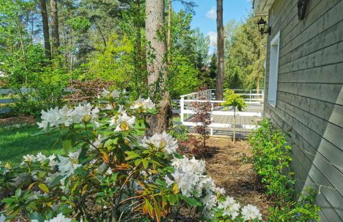 Sosnowy Azyl - Foto 29