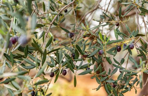 KrinesGReece - Foto 45