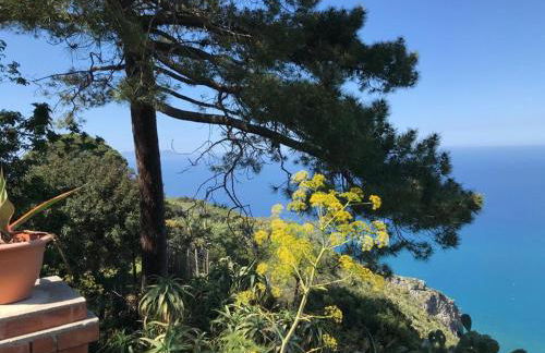 Bouganville in Villa Greco - Foto 68