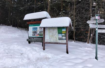 Domek Cichy Zakątek Beskid Niski - Foto 79