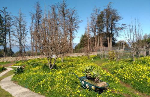 Casa Rural La Gustoza - Foto 39