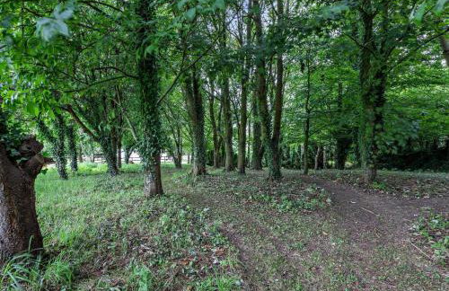 2 Bed in Barnstaple oc-93024 - Foto 20