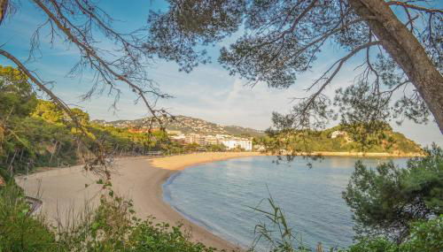 Villa Caravan 6 people 7 kms Lloret de mar - Foto 5