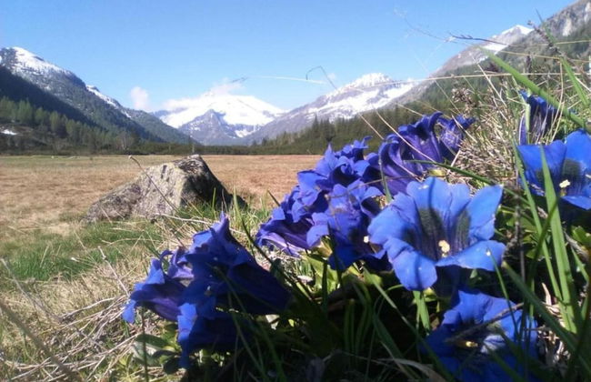 Flat by Lake Iseo With Mountain Views - Photo 29