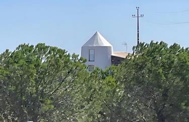 Moinhos da Pateira - Moagem - Foto 8