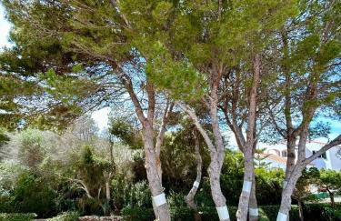 Menorca Chic Apartment Near Beach & Harbour - Foto 32