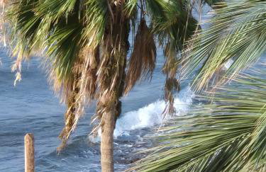 CASA LAS PLAYITAS -CLP- BEST SEA VIEW - In 1 Minute Ocean - Foto 14