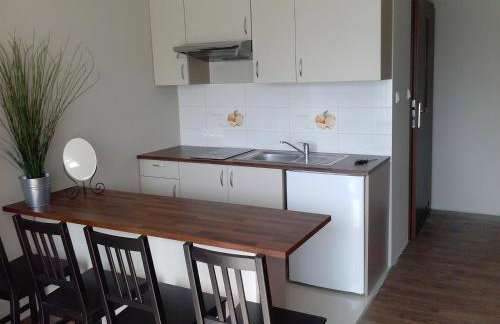 Pensjonat Ślepowron - Foto 36