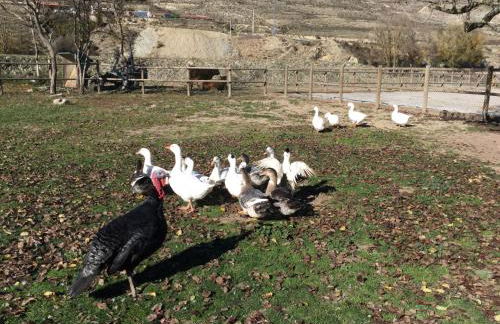 Casa Concejos - Foto 27