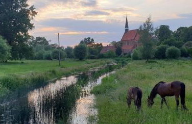 Ferienwohnung "Backsteinhaus Starkow" - Foto 14
