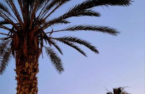 Moderno Apartamento Colon con Vistas al Mar Calpe - Foto 19