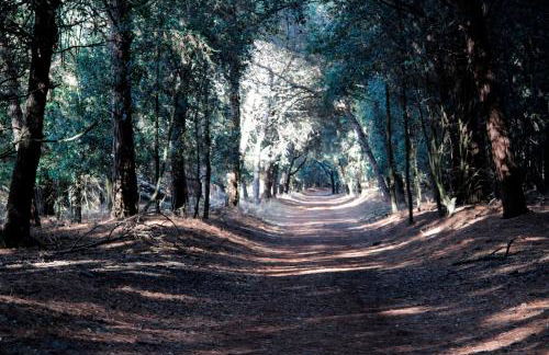 Villa Demì - Foto 27