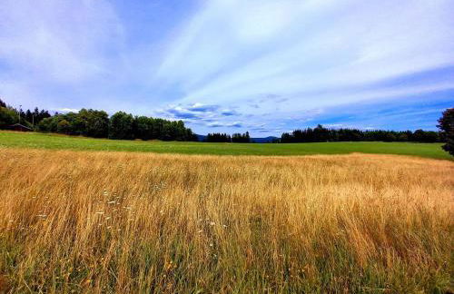 Landhaus Friedl - Foto 37