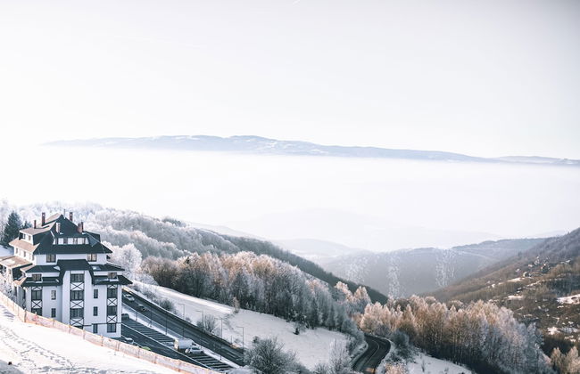 Sky Cabin Apartments - Photo 70