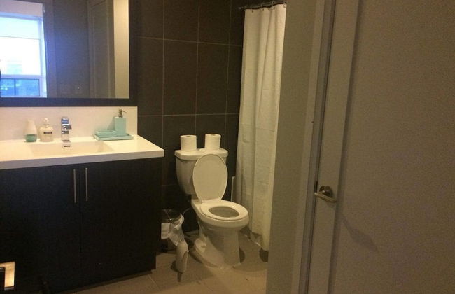 Kashaneh at Hullmark - Foto 15