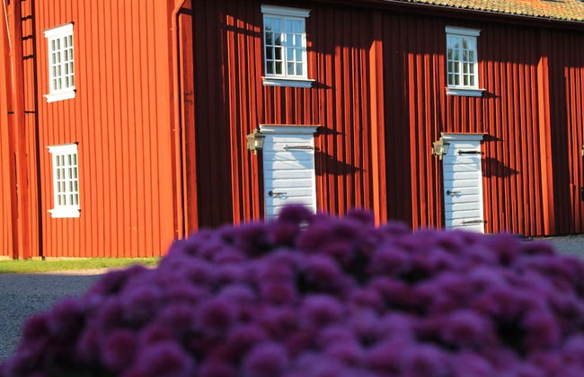 Vägsjöfors Herrgård - Foto 67