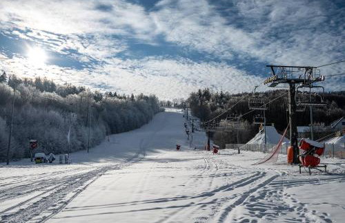 Apartamenty Pod Dębowcem Premium Jungle - Foto 43