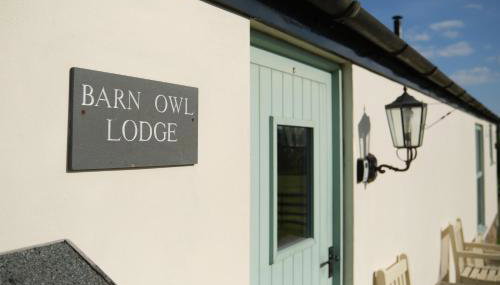 Barn Owl Lodge at Millfields Farm Cottages - Foto 2