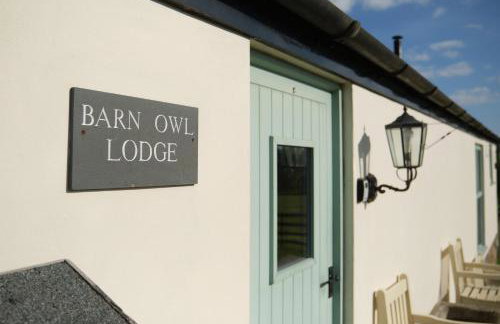 Barn Owl Lodge at Millfields Farm Cottages - Photo 2