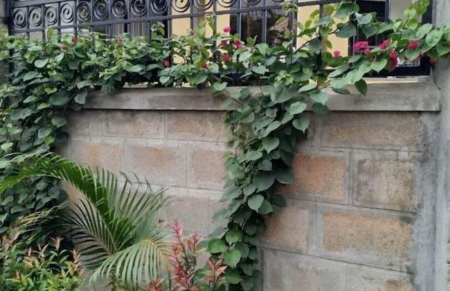 Caran Hotel Apartments - Foto 36