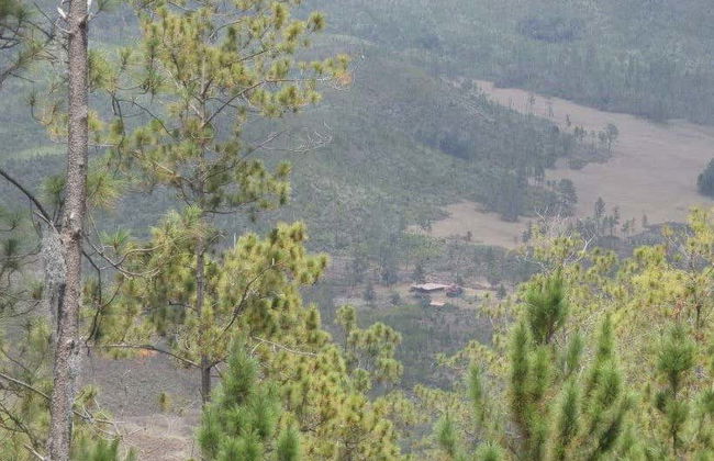 Trekking de 3 días por el Pico Duarte - Foto 6