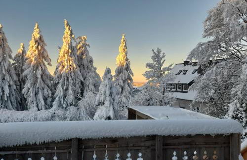 Tante Hanna - Foto 42