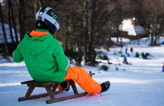 Koca Bistra - Velika planina - Foto 41