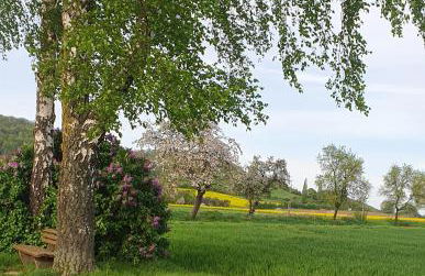 Apartaments Am Schloß - Foto 47