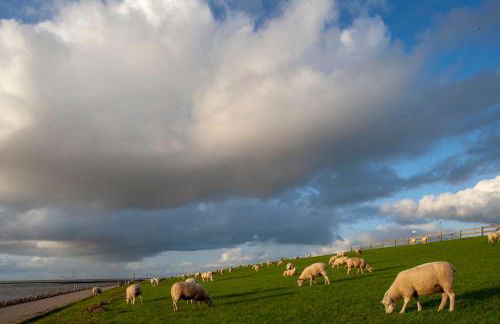 Haubarg am Meer - Foto 19