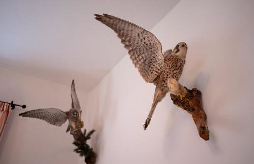 Ferienwohnung Inge - Photo 11