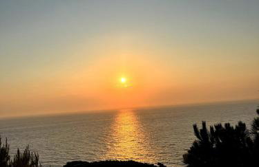 Mavrianou 180 sea view, ikarian villa - Foto 48